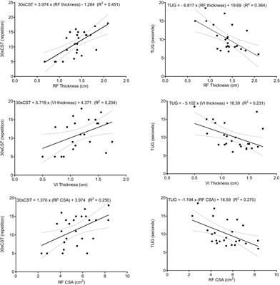 Relationship between quadriceps muscle architecture and lower limb strength and physical function in older adults community-dwelling individuals: a cross-sectional study